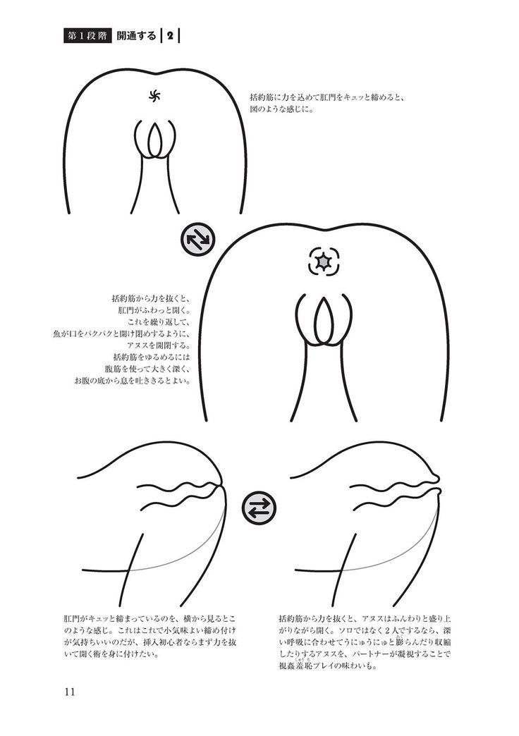 アナル性感開発・お尻エッチ 完全マニュアル