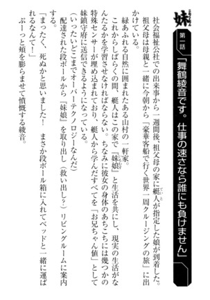妹これくしょん Page #32