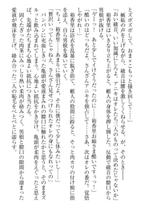 妹これくしょん Page #253