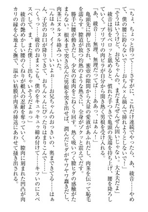 妹これくしょん - Page 260