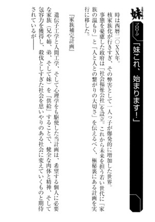 妹これくしょん Page #17