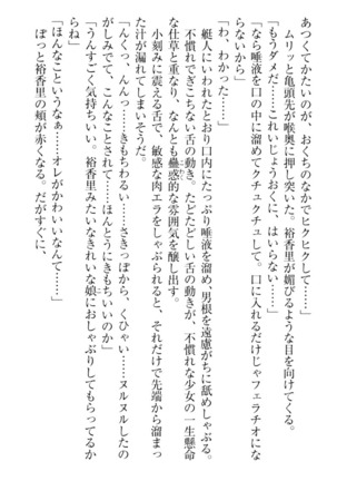 妹これくしょん - Page 105