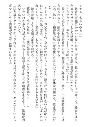 妹これくしょん Page #243