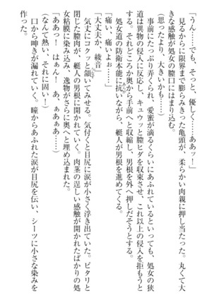 妹これくしょん Page #71