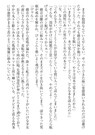 妹これくしょん Page #52