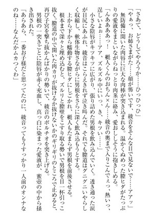 妹これくしょん Page #247