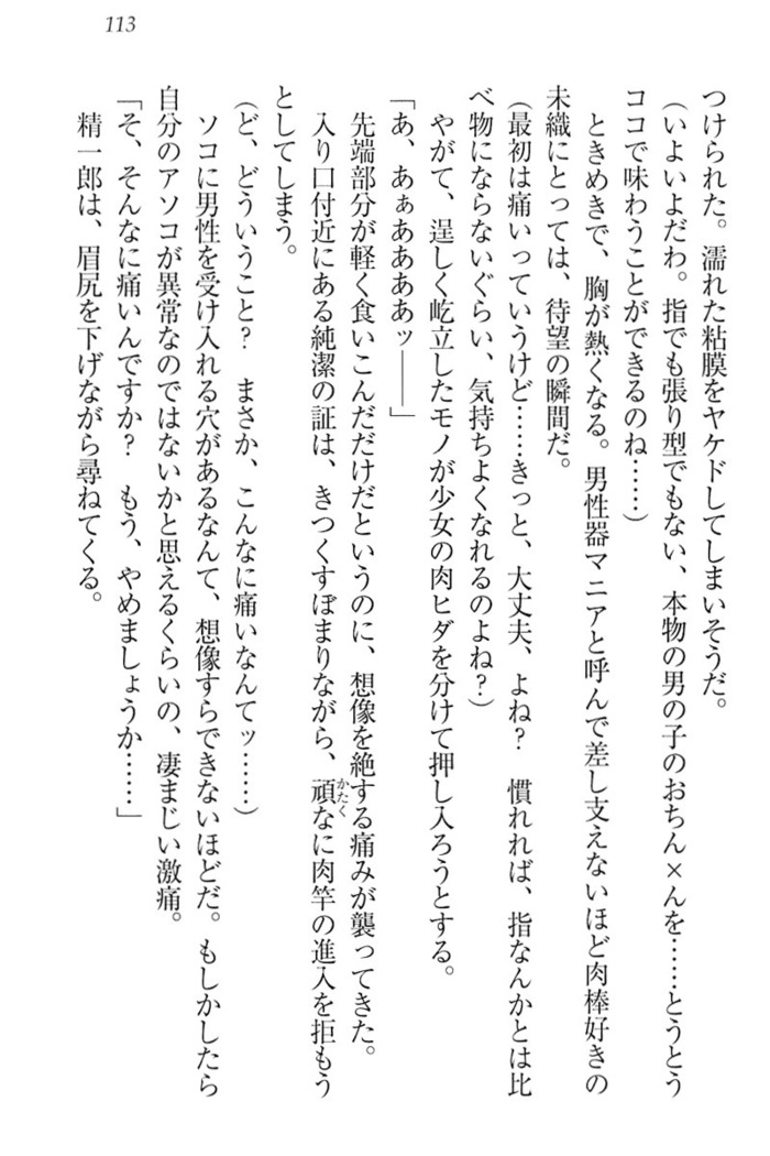 肉食生徒会長サマと草食な俺