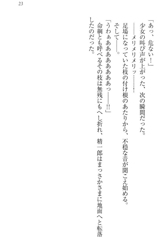 肉食生徒会長サマと草食な俺