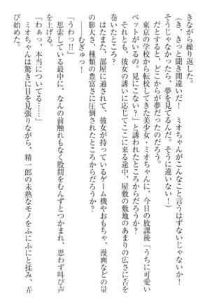 肉食生徒会長サマと草食な俺 - Page 18