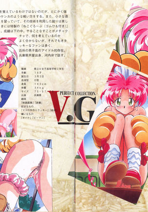 V.G.Perfect Collection Illustrations - Page 6