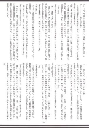 東方おにく合同 - Page 29