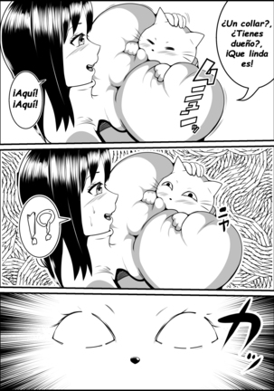 Kaineko ga Aruhi Bijo ni Nattara - Page 5