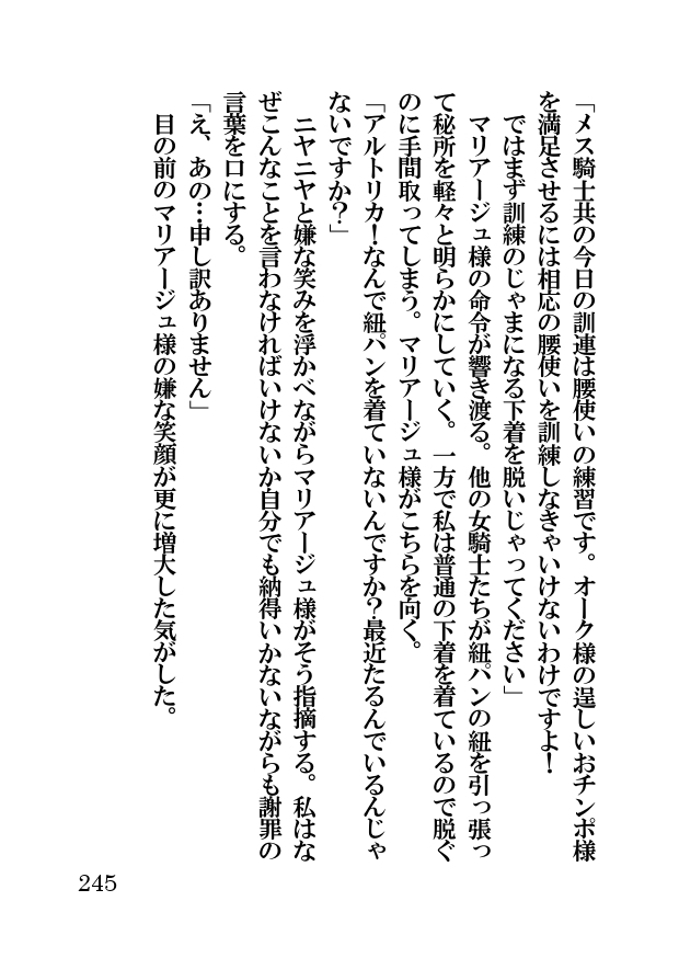 オーク・ファンタジー 征服された神聖王国