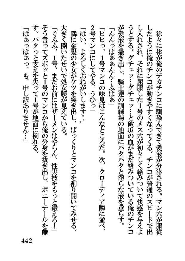 オーク・ファンタジー 征服された神聖王国