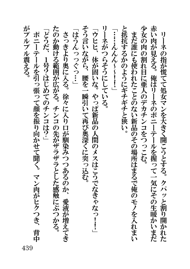 オーク・ファンタジー 征服された神聖王国