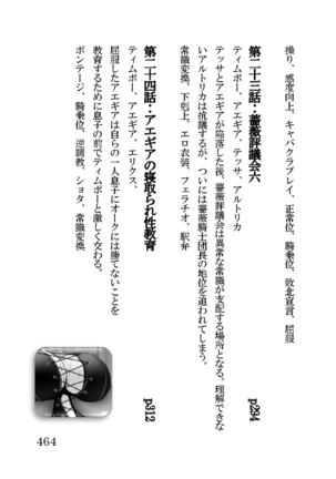 オーク・ファンタジー 征服された神聖王国 Page #464