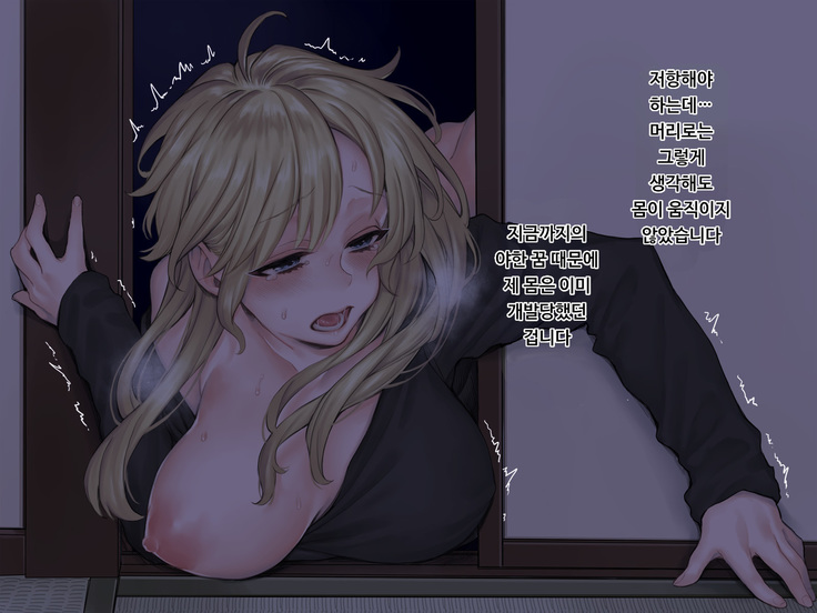 Jiko Bukken x Ryuugakusei ~Yojouhan no Fukashigi na Jouji~  사고물건 x 유학생 ~ 다다시 넉 장 반의 불가사의한 정사~