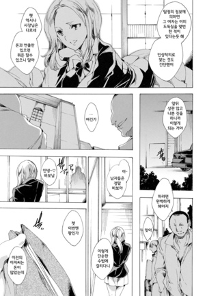 Kyousei Tanetsuke Gal Zukan - Encyclopedia of GAL about Forced Seeding | 강제 씨받이 갸루도감 Page #105