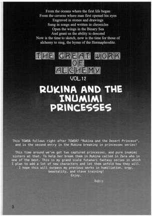 TGWOA Vol.12 - Rukina to Inumimi Oujo Page #3