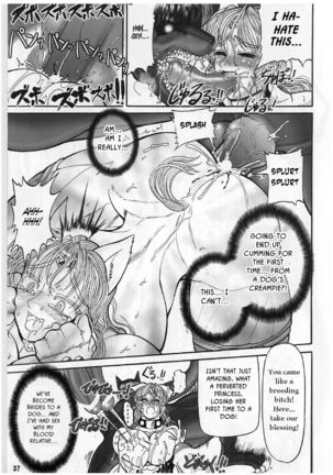 TGWOA Vol.12 - Rukina to Inumimi Oujo Page #37