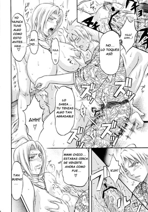 Tonkatsu Evolution IV Page #20