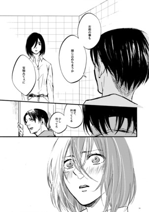   【WEB Sairoku】 Silent Roar【Shingeki no Kyojin】 - Page 29