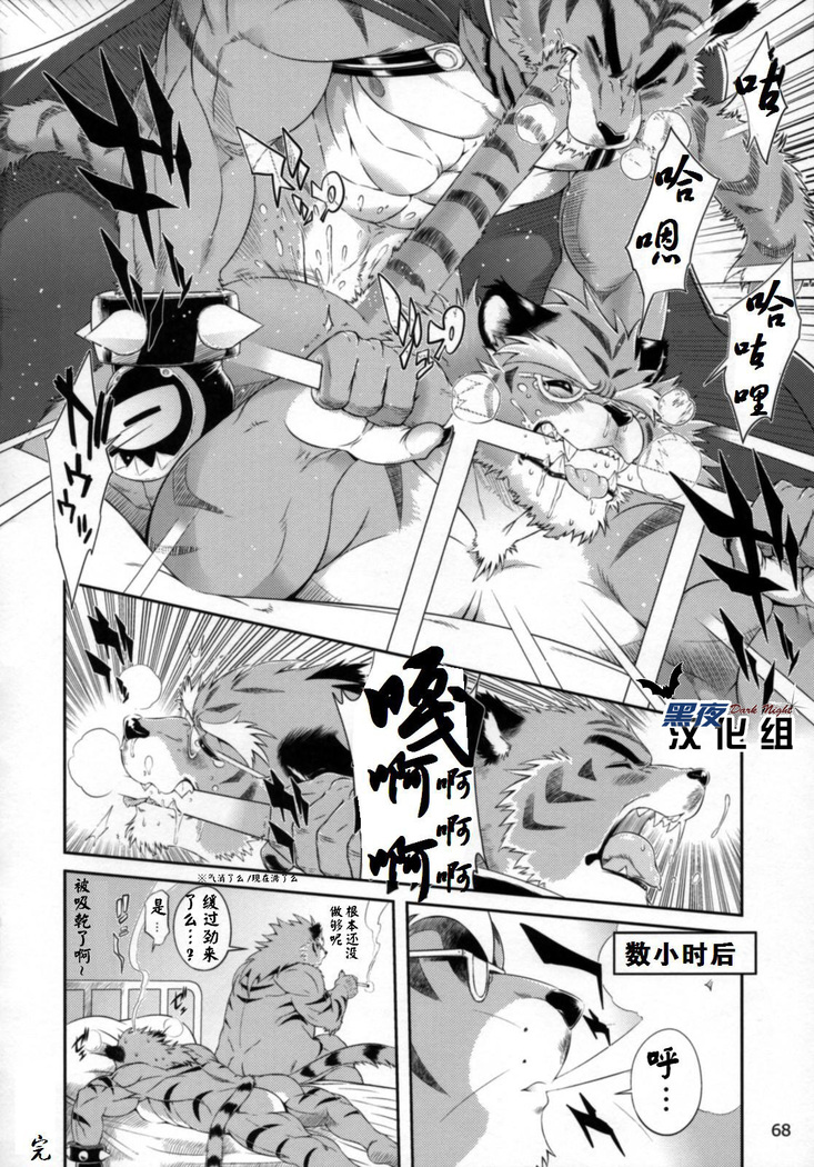 【黑夜汉化组】超獣合隊ビルドタイガーズ