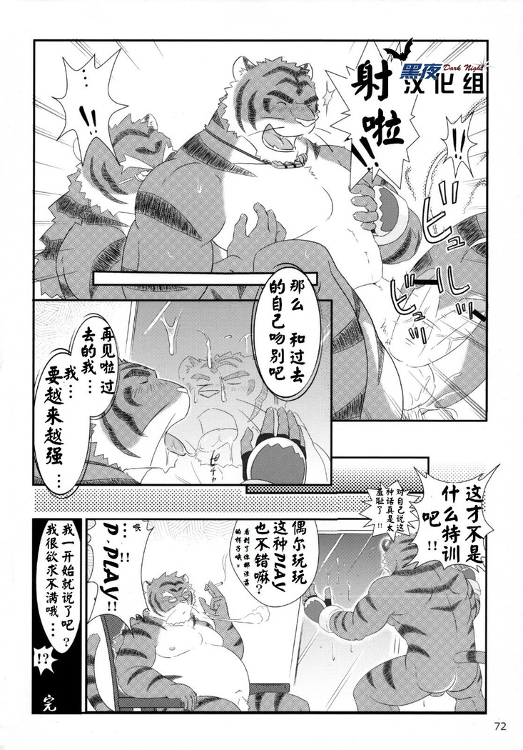 【黑夜汉化组】超獣合隊ビルドタイガーズ