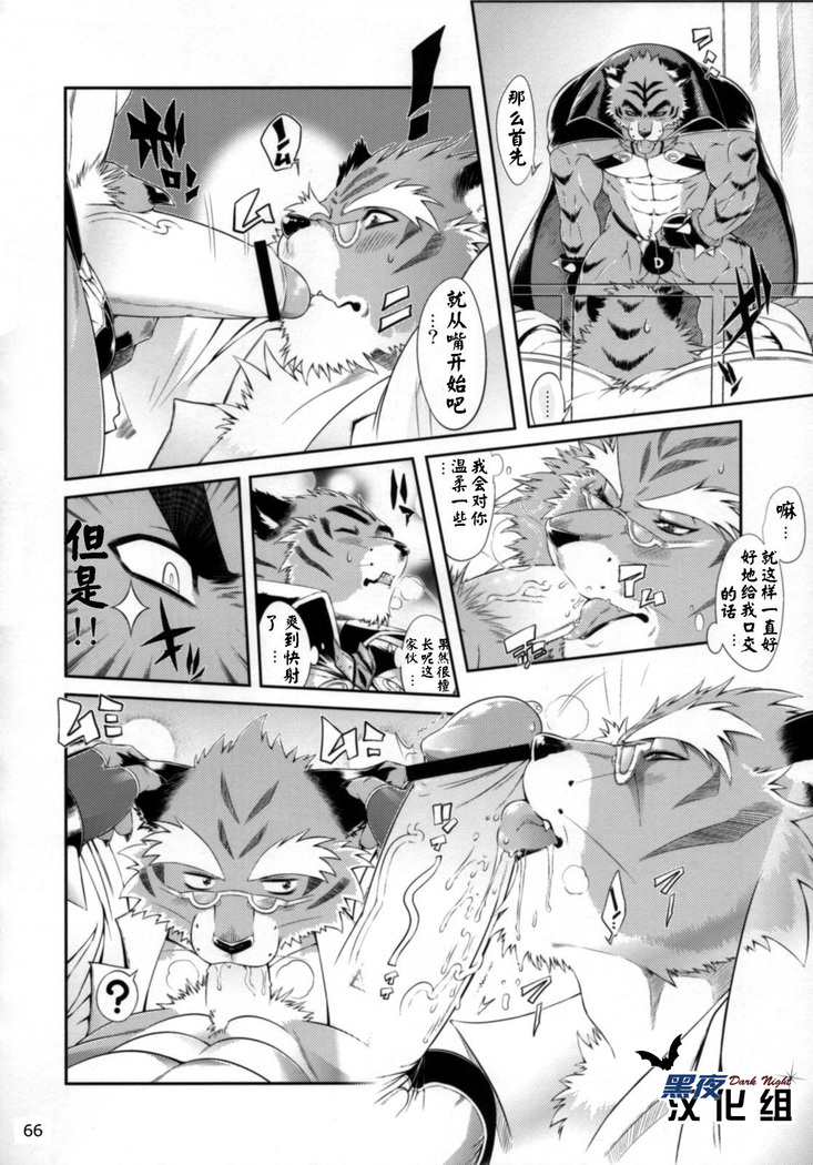 【黑夜汉化组】超獣合隊ビルドタイガーズ