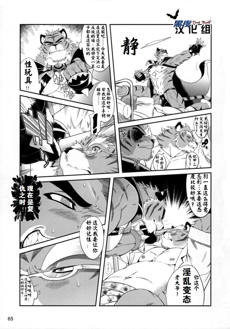 【黑夜汉化组】超獣合隊ビルドタイガーズ