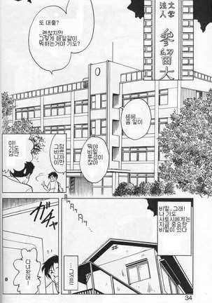 Player S Page #31