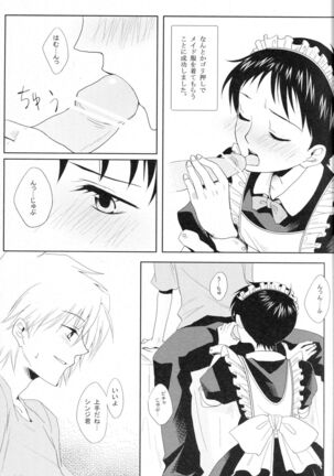 PSP Eva 2 no Susume - Page 28