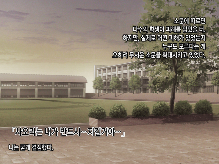 Saimin Netori Himitsu Shidou ~Charao Kyoushi ni Saimin Appli de Netorareta Seitokaichou - Shirakawa Saori no Baai~
