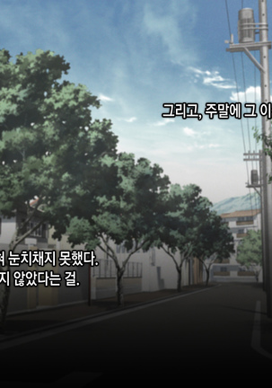 Saimin Netori Himitsu Shidou ~Charao Kyoushi ni Saimin Appli de Netorareta Seitokaichou - Shirakawa Saori no Baai~ Page #28