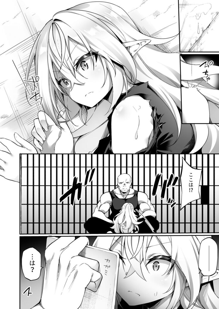 Elfka no Kusuri