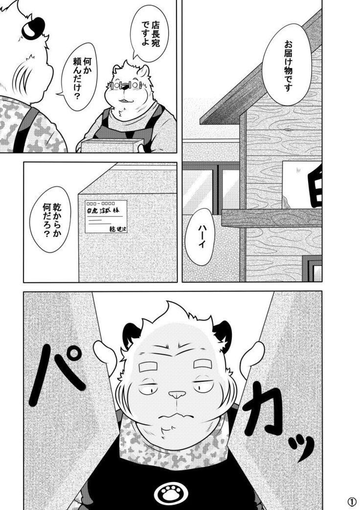 Shirato Shobou e Youkoso! Vol. 7
