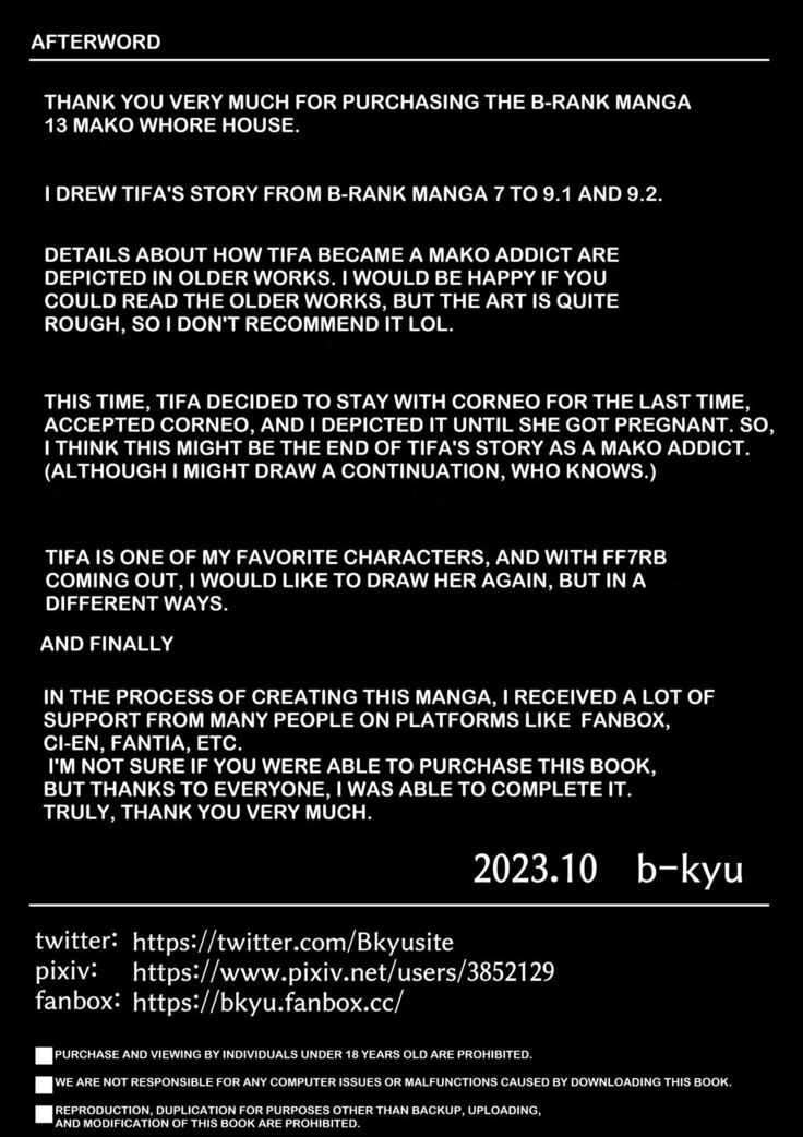 B-RANK MANGA 13 English version