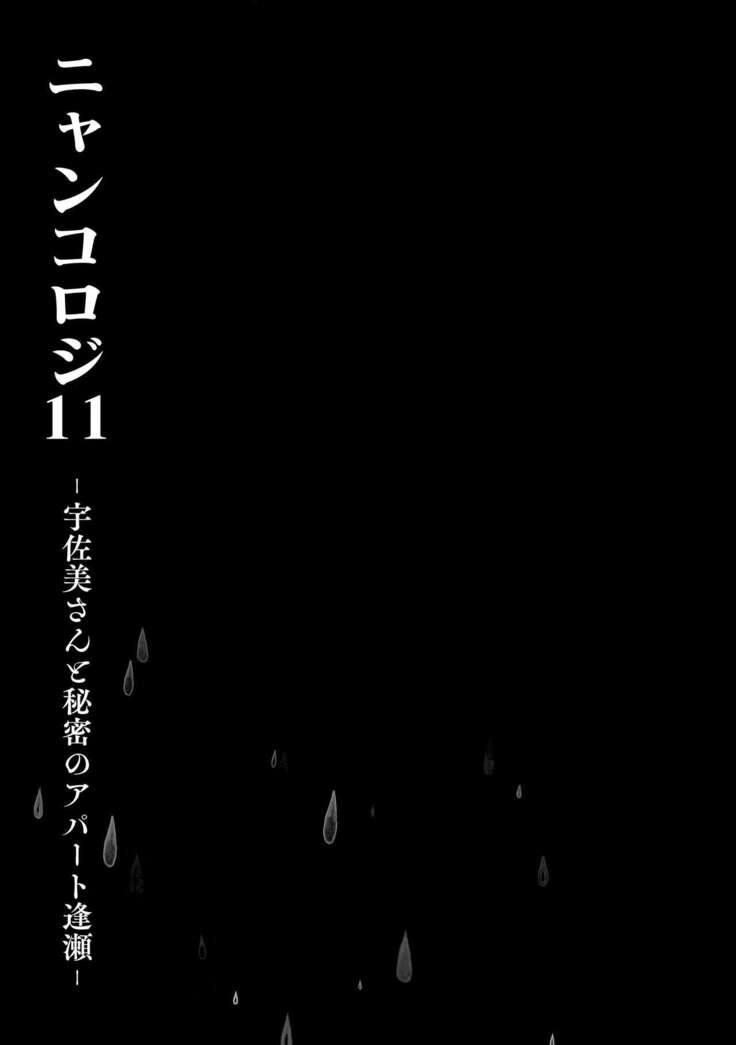(Mega Akihabara Doujinsai 1) [Kinokonomi (konomi)] Nyancology11 -Usami-san to Himitsu no Apart Ouse- [Chinese] [绅士仓库汉化]