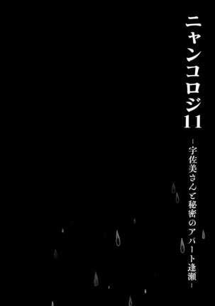 (Mega Akihabara Doujinsai 1) [Kinokonomi (konomi)] Nyancology11 -Usami-san to Himitsu no Apart Ouse- [Chinese] [绅士仓库汉化] - Page 14