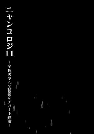 (Mega Akihabara Doujinsai 1) [Kinokonomi (konomi)] Nyancology11 -Usami-san to Himitsu no Apart Ouse- [Chinese] [绅士仓库汉化] - Page 13