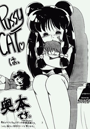 Pussy Cat Vol. 17