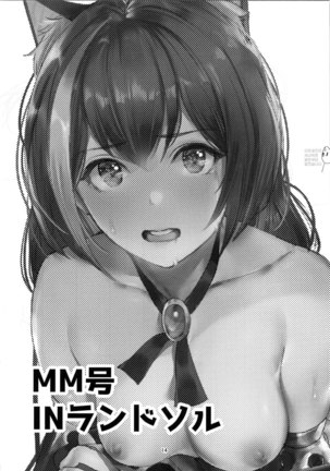 MM-gou IN Randosol Page #13