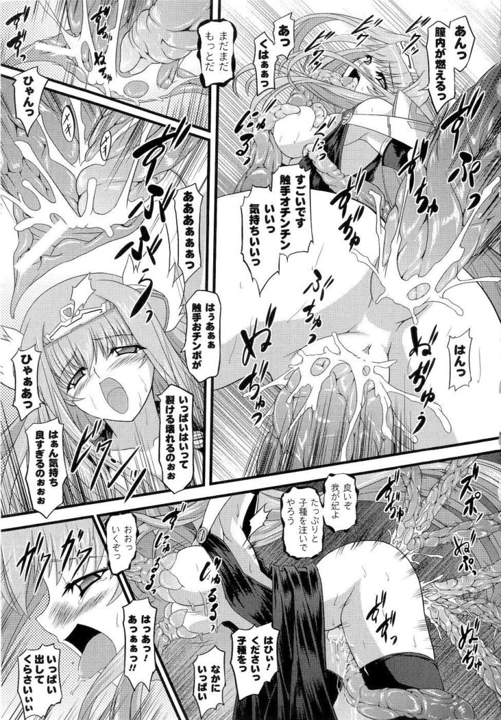 Seirei Kishi Aquael Anthology Comics