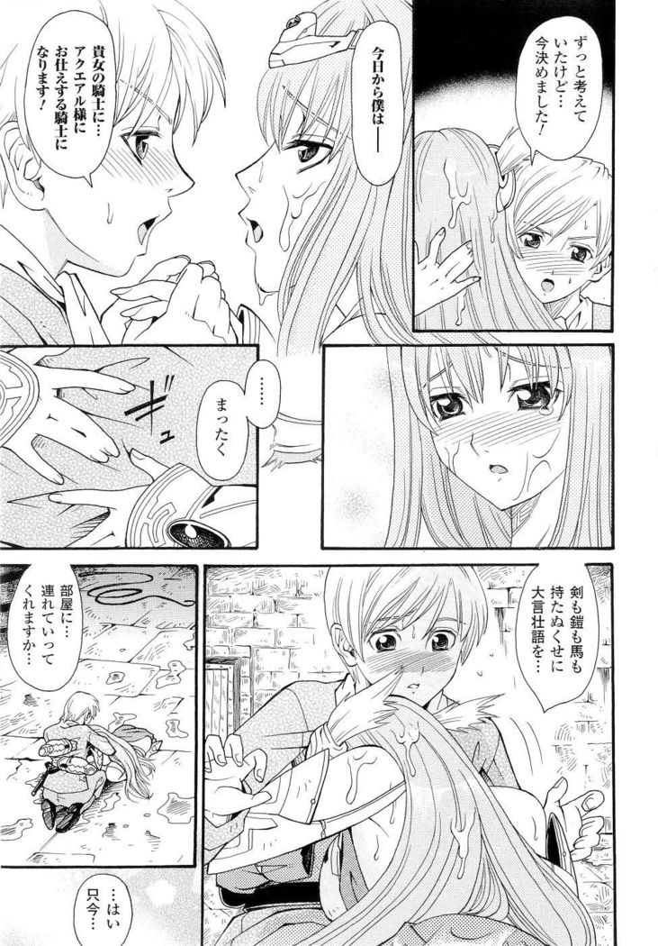 Seirei Kishi Aquael Anthology Comics