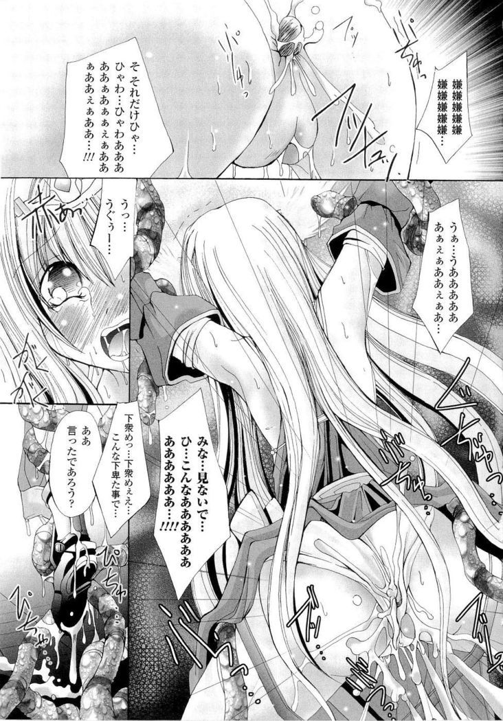 Seirei Kishi Aquael Anthology Comics
