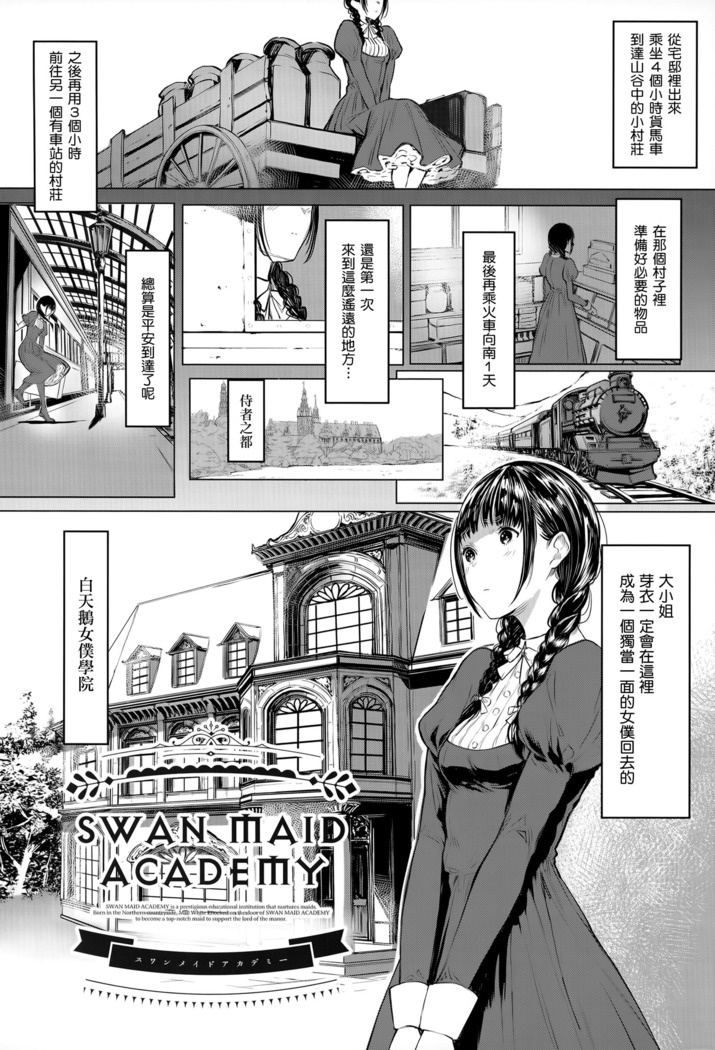 SWAN MAID ACADEMY