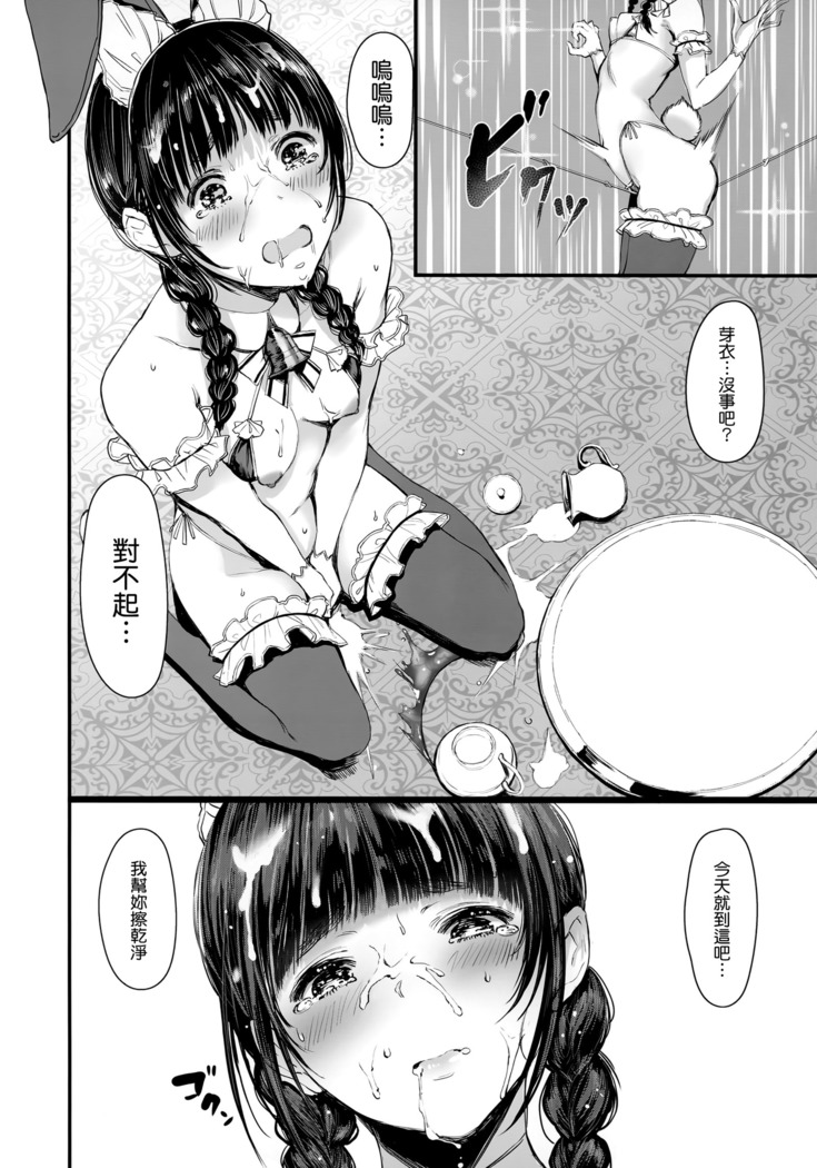 SWAN MAID ACADEMY