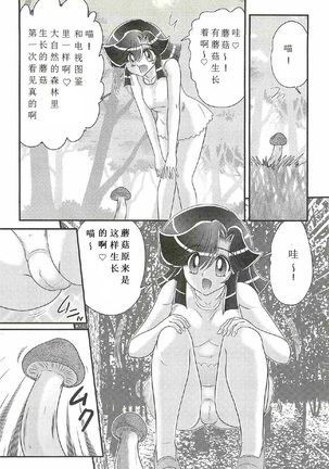 Seirei Tokusou Fairy Saber W - Shojo Kari - Page 48