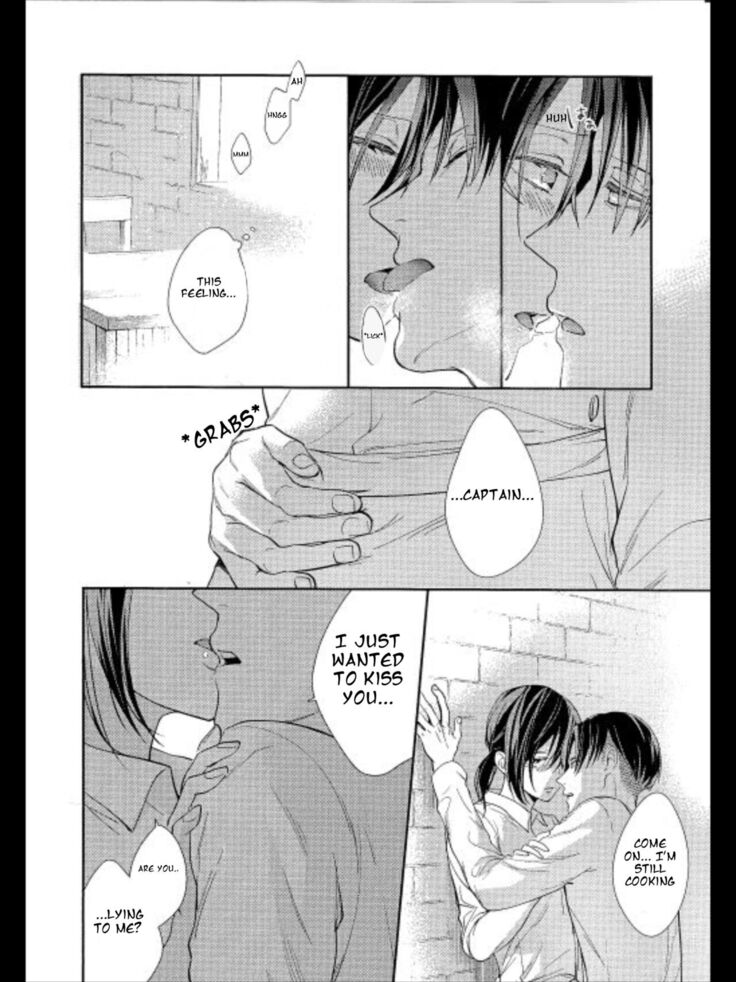 Fusion by Sakuragawa Naa English Translation