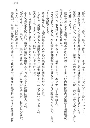 駄メイドのご主人様になってください - Page 237